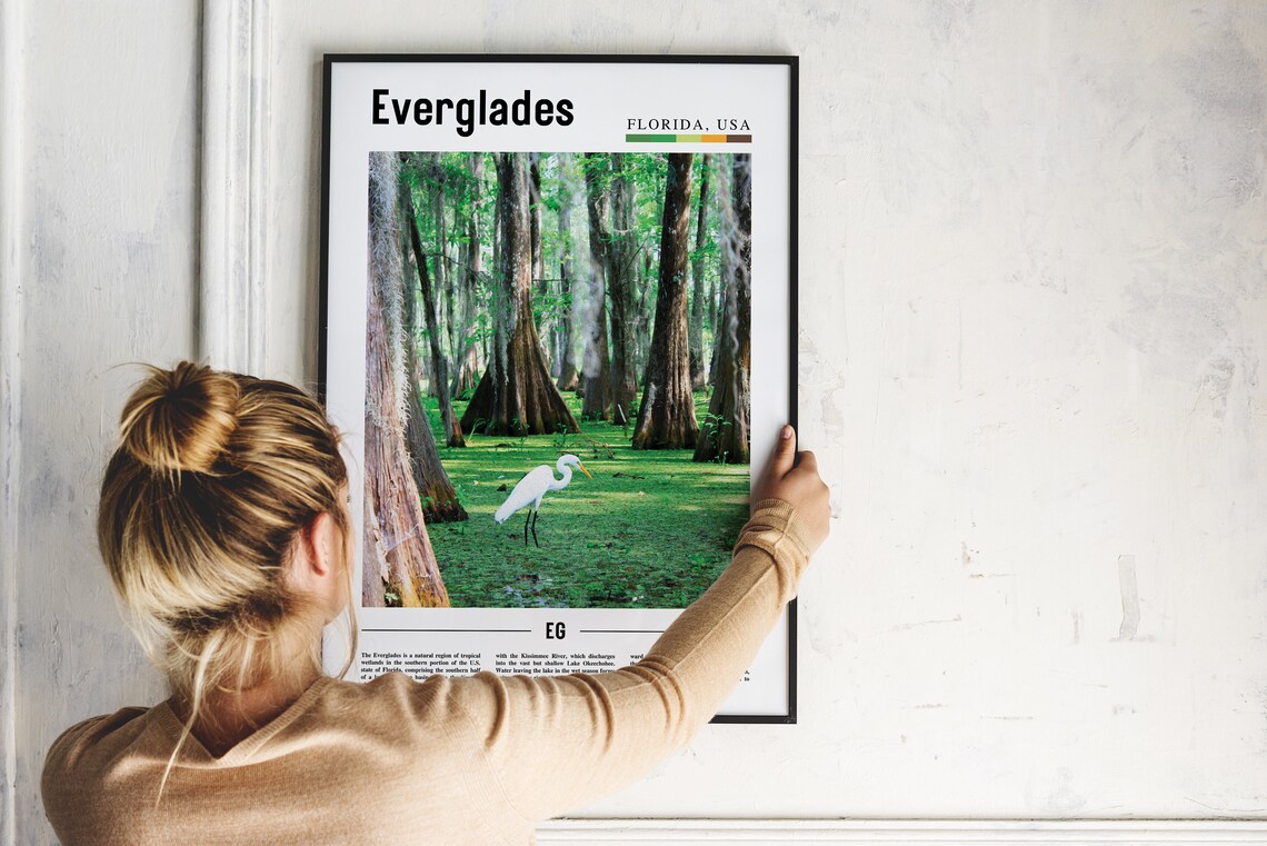 Everglades Florida Cypress Swamp Egret Wildlife Nature Travel Poster - Image 2