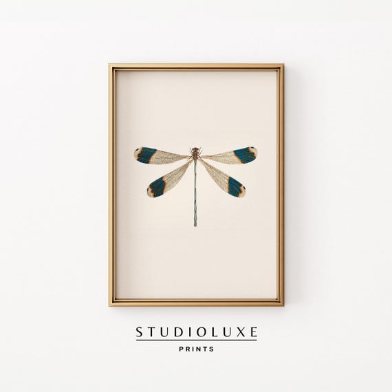 Dragonfly Print Wall Art Prints Garden Lovers Nature Botanical Trendy Apartment Decor