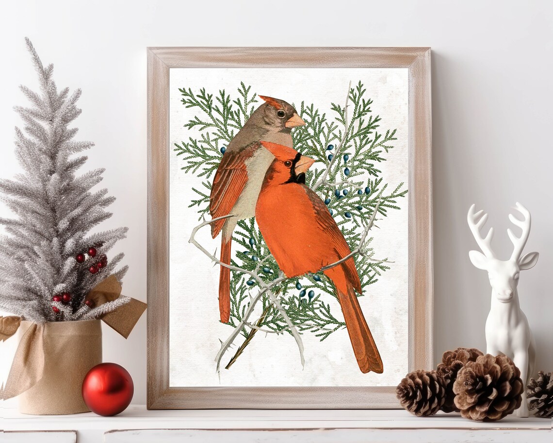 Male And Female Cardinals On Juniper Branch Vintage Bird Wall Art