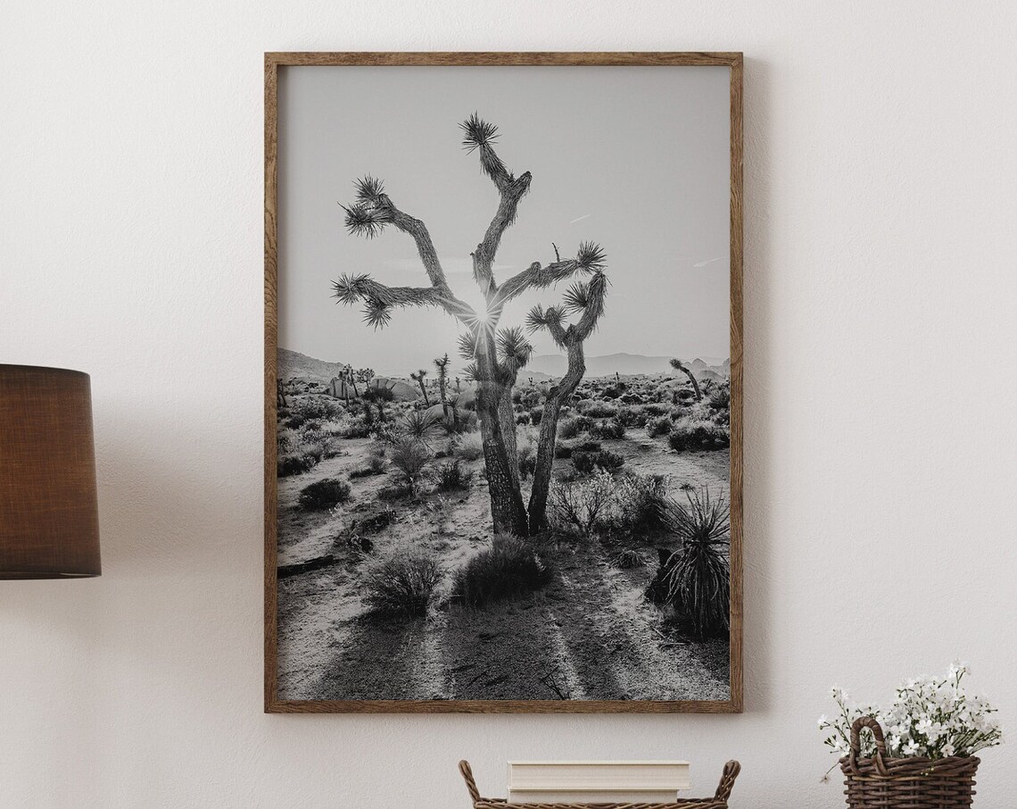 Joshua Tree Mojave Desert Sunset Black And White Photo Print