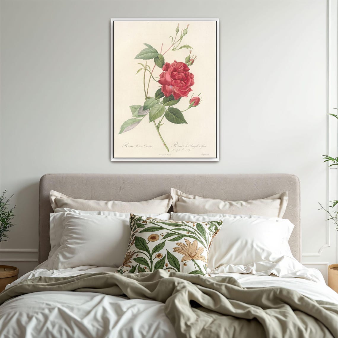 Vintage Red Rose Botanical Illustration Classic Flower Study Poster - Image 3