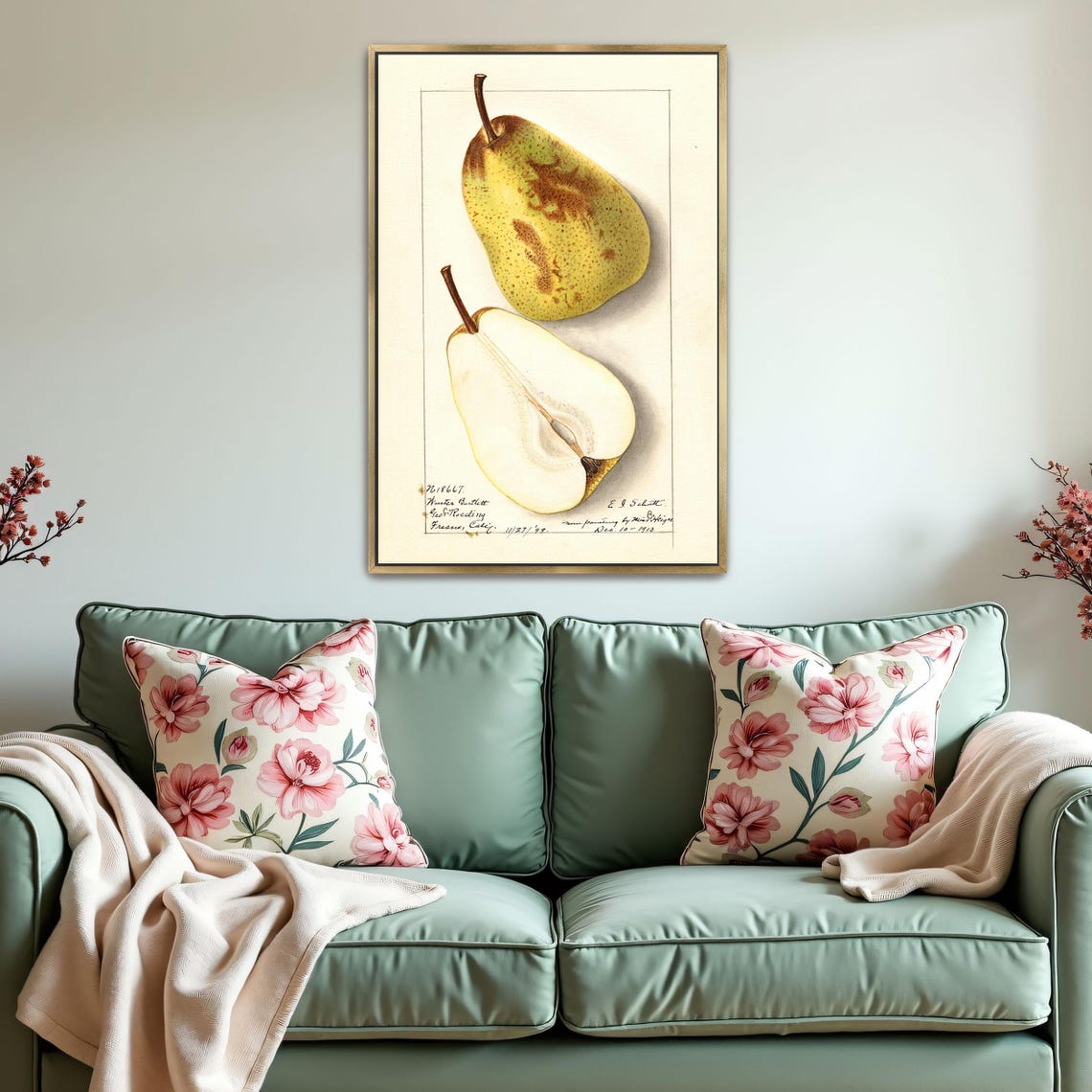 Green Russet Pear Whole And Halved Vintage Botanical Art Poster