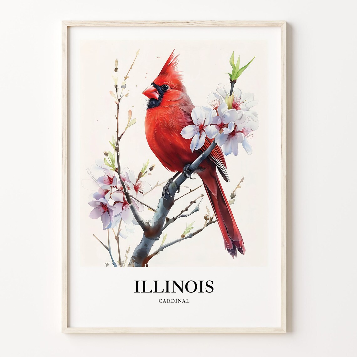 Illinois State Bird and Flower Art Print