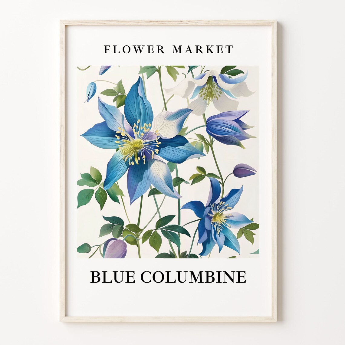 Blue Columbine Flower Market Botanical Alpine Wildflower Art Poster