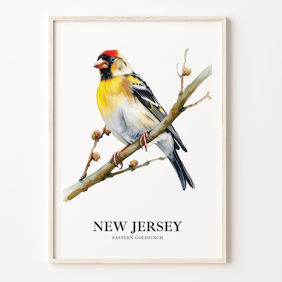New Jersey Eastern Goldfinch Watercolor Bird Illustration Poster
