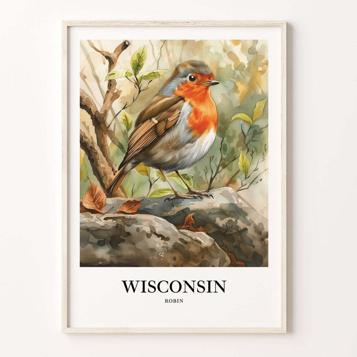 Wisconsin Robin Perched on Rock Detailed Watercolor Bird Art Poster