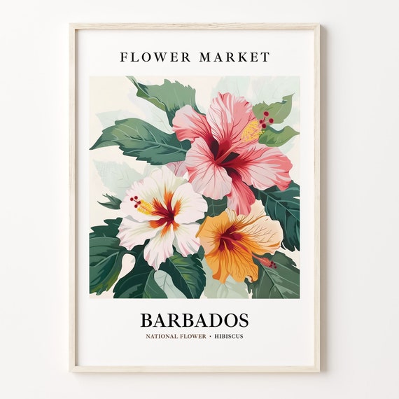 Barbados Flower Art Print Hibiscus Wall Art Botanical Pastel Artwork Barbados Flower Market Print Tropical Decor C31 328