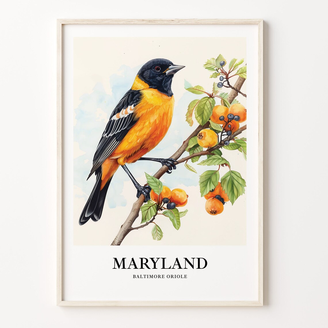 Maryland State Bird Art Print, State Flower Artwork
