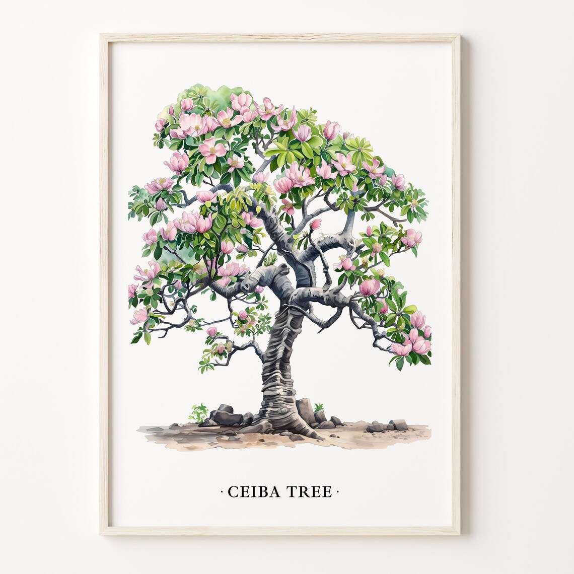 Ceiba Tree Art Print, Tropical Botanical Illustration
