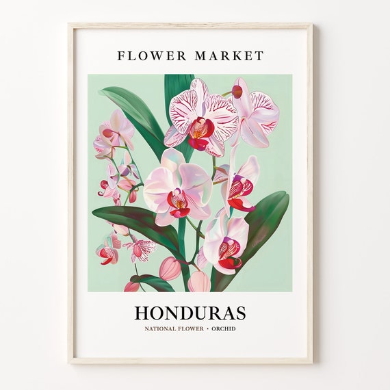 Honduras Flower Market Art Print Orchid Wall Art Botanical Pastel Artwork Honduras Flower Nature Decor C31 311