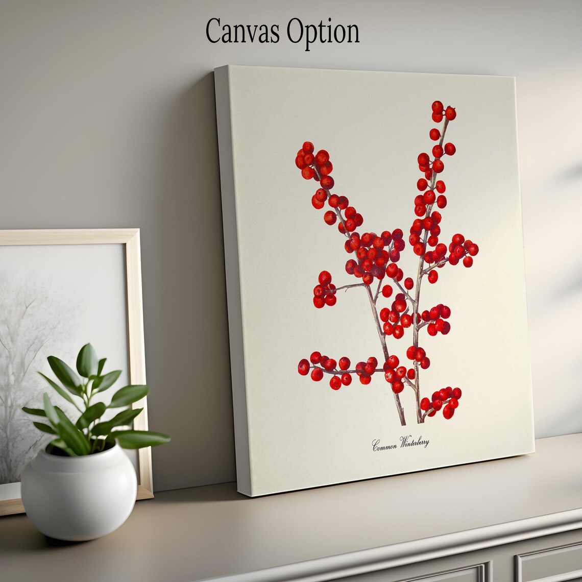 Common Winterberry Botanical Art Print, Holly Berry - Image 2