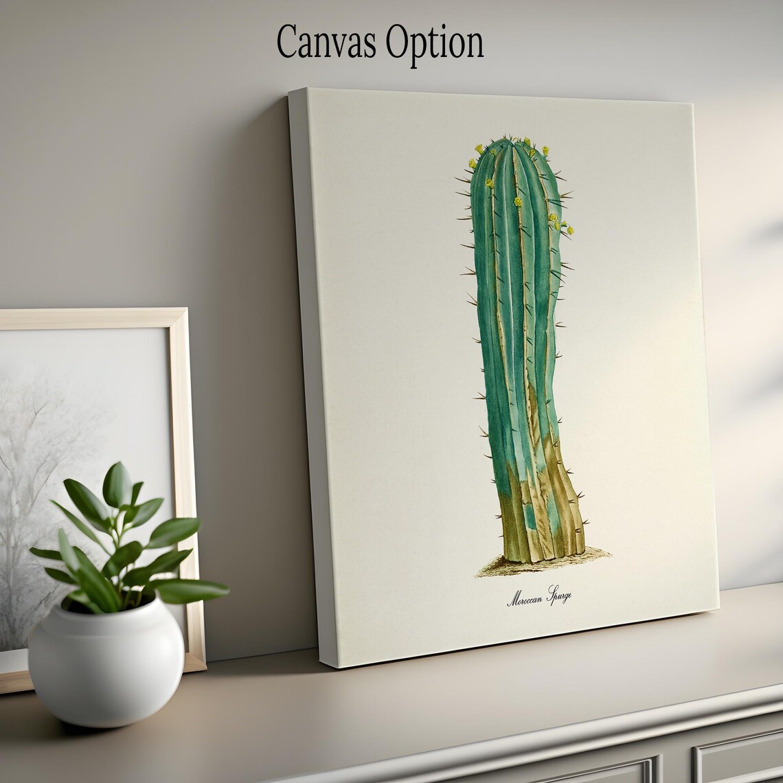Moroccan Spurge Botanical Wall Art Print, Cactus - Image 2