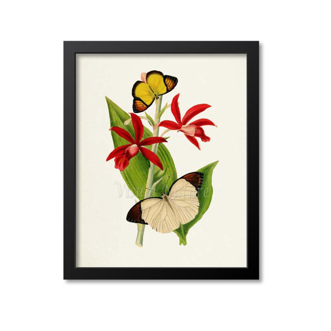Chinese Butterflies Floral Art Print, Garden Motif