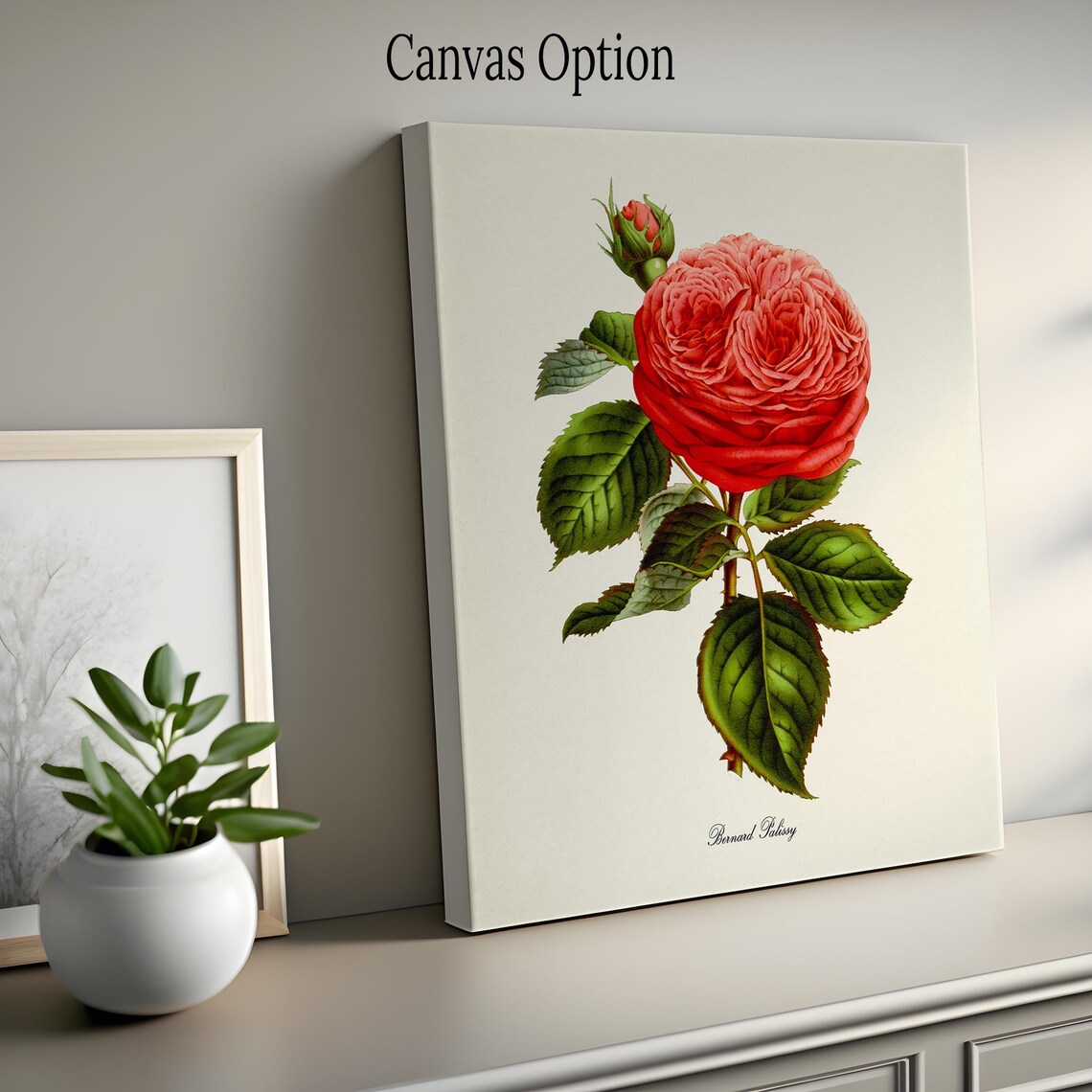 Bernard Palissy Rose Flower Botanical Art Print - Image 2