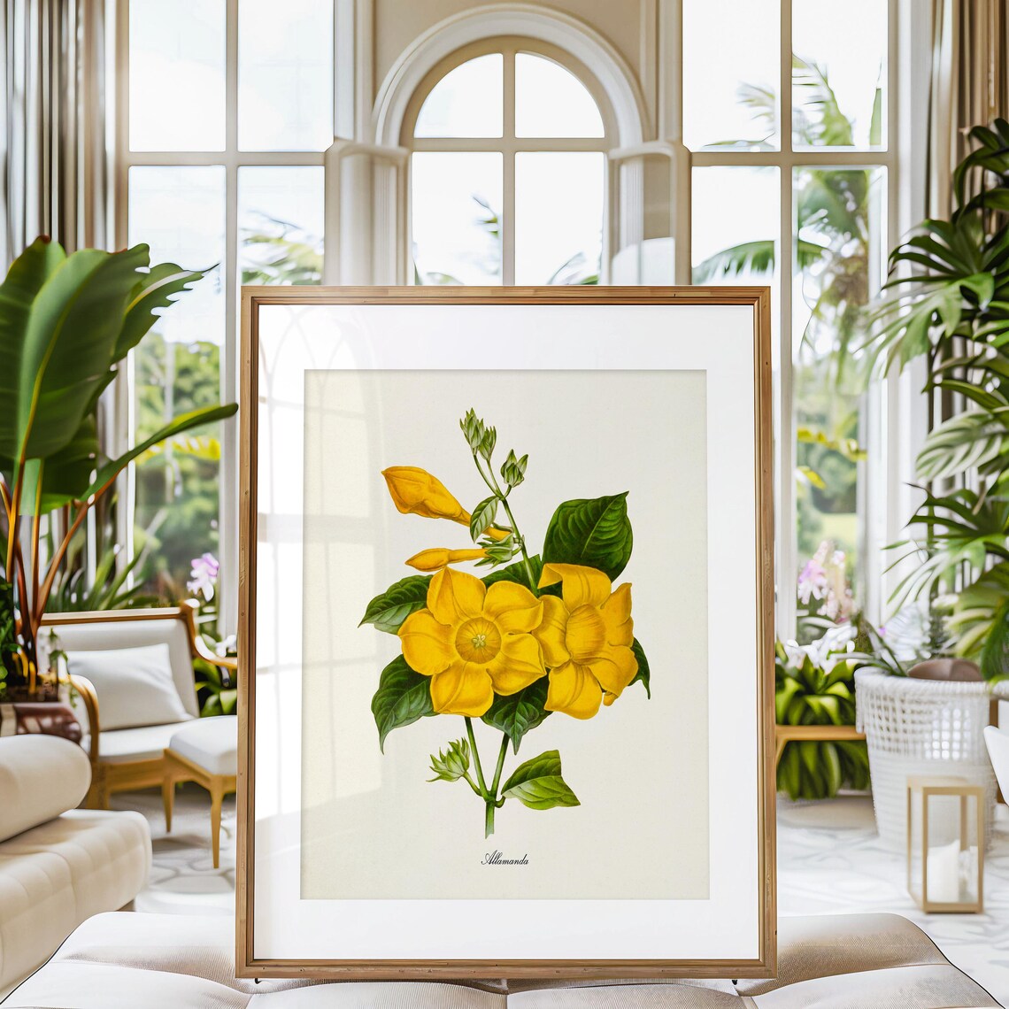 Allamanda Flower Botanical Art Print, Floral Vine - Image 3