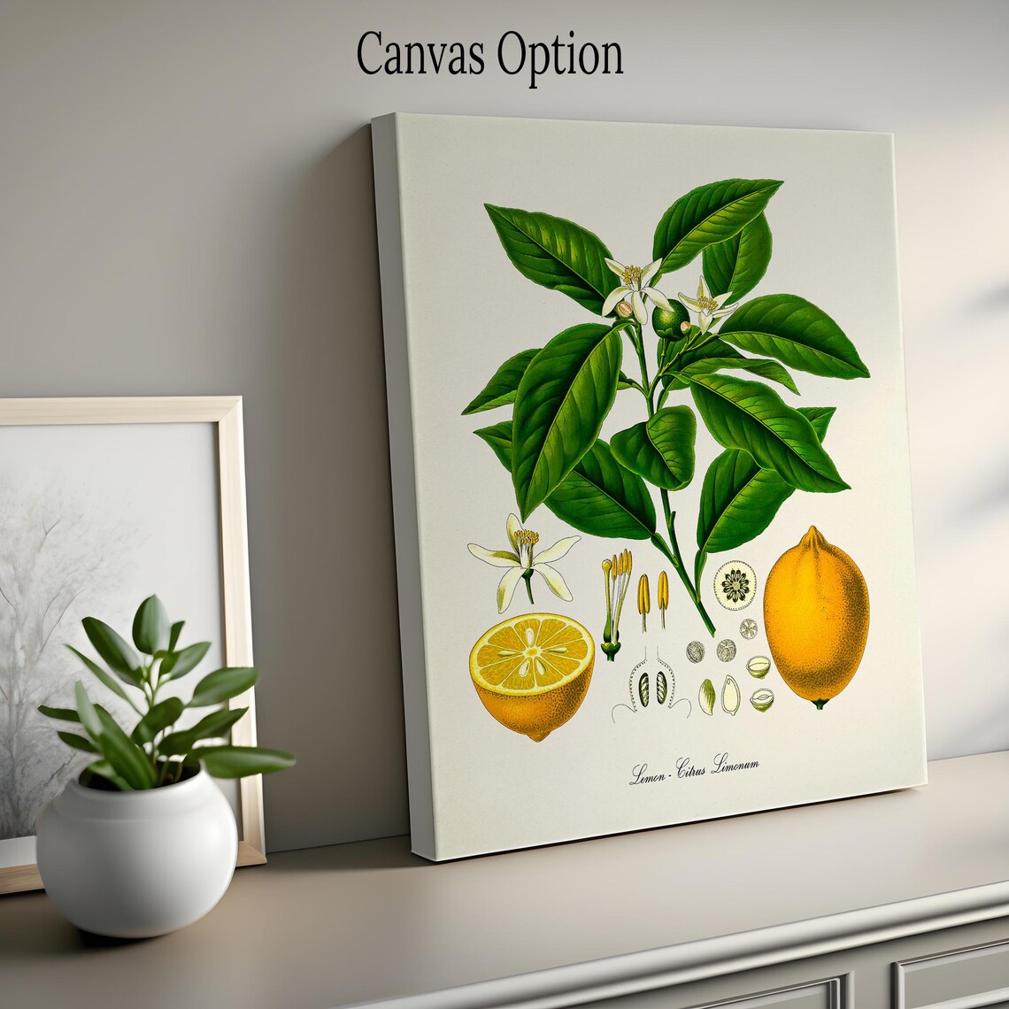 Lemon Botanical Art Print, Citrus Kitchen Wall Art - Image 2