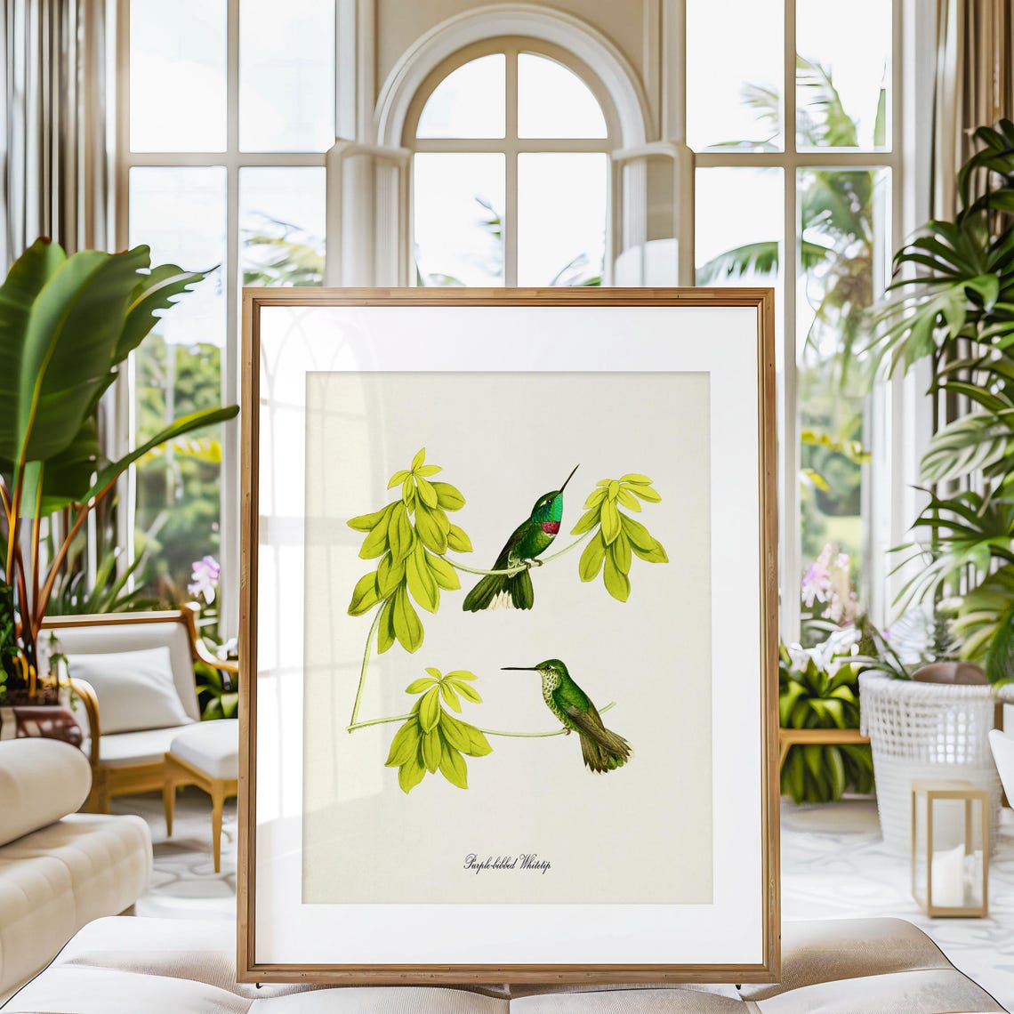 Purple Bibbed Whitetip Hummingbird Print Bird Art Print Bird Art Bird Poster Flower Art Floral Garden Hummingbird Art Green - Image 3