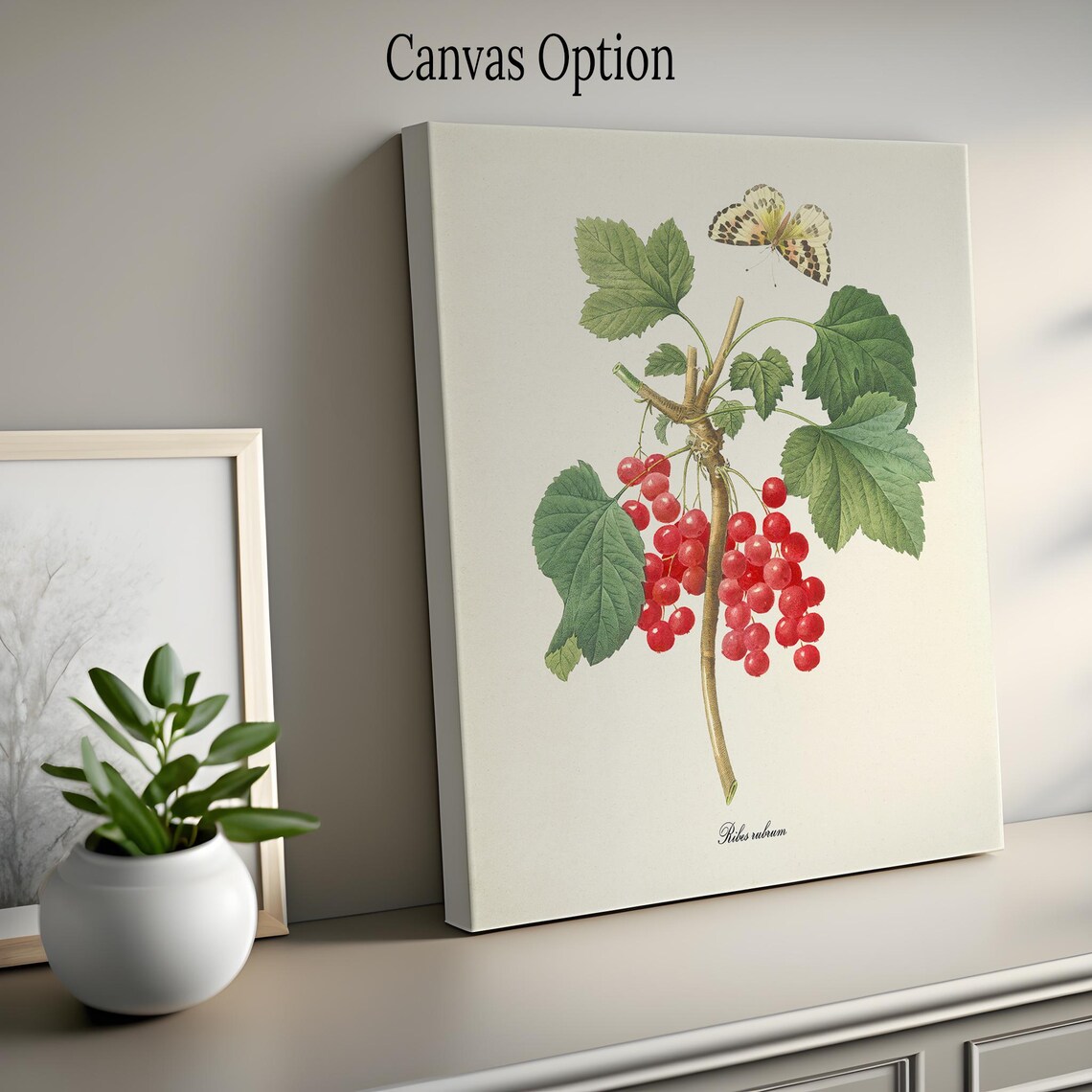Redcurrant Botanical Print, Redouté Style Art Print - Image 2