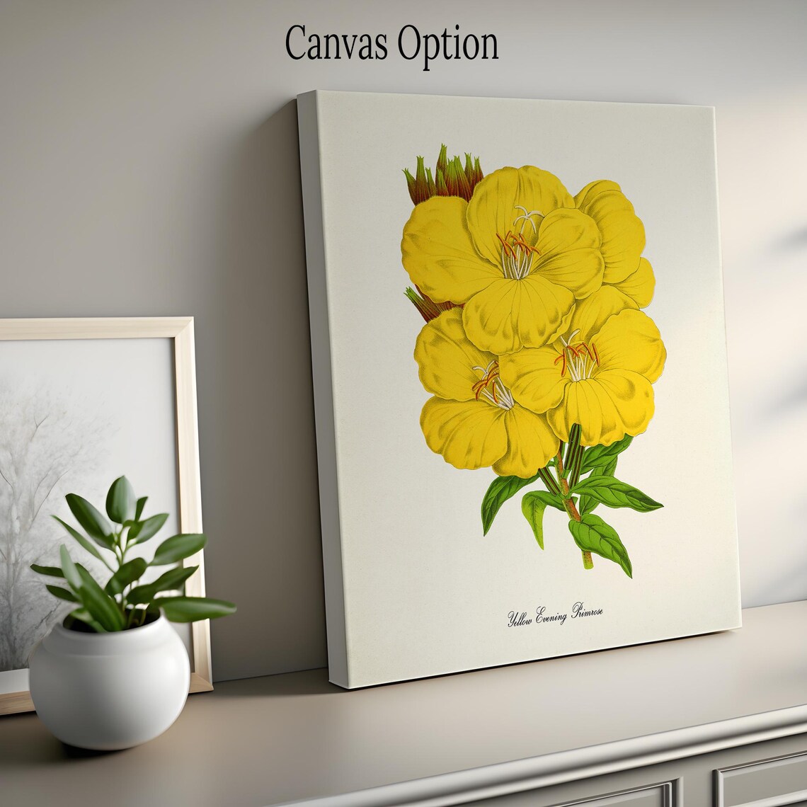Yellow Evening Primrose Botanical Art Print - Image 2