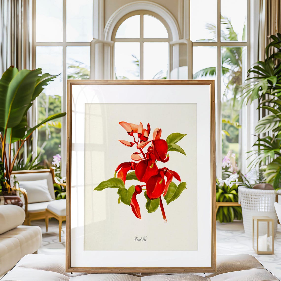 Coral Tree Red Flame Flowers Tropical Botanical Study Poster - Image 3