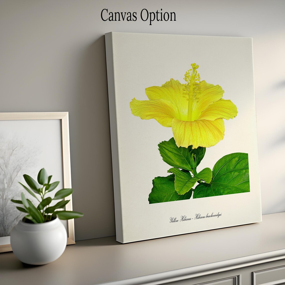 Yellow Hibiscus, Hawaii State Flower Art Print - Image 2