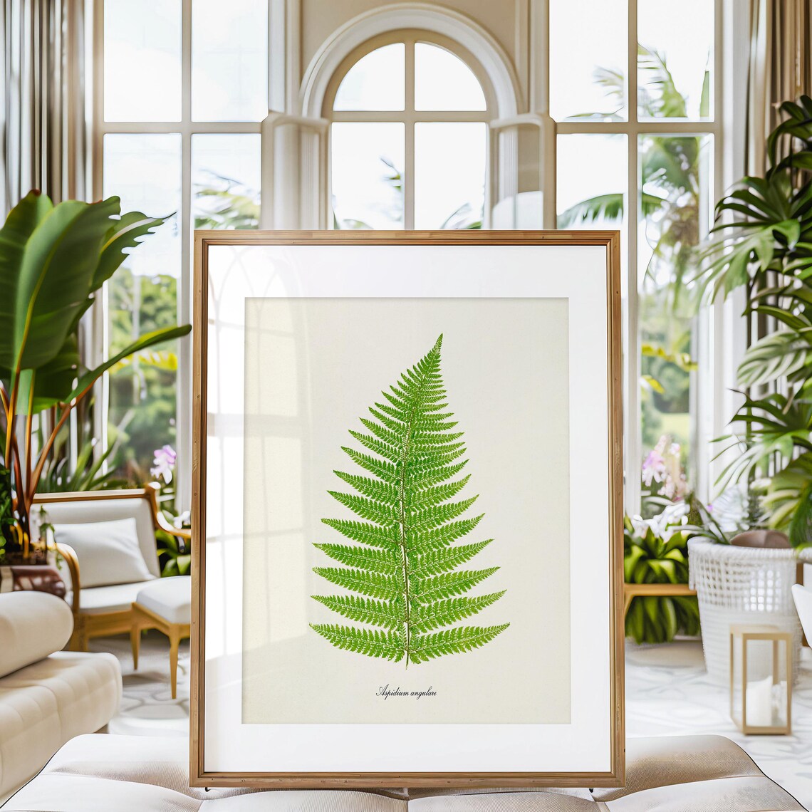 Fern Botanical Art Print, Aspidium Angulare Study - Image 3