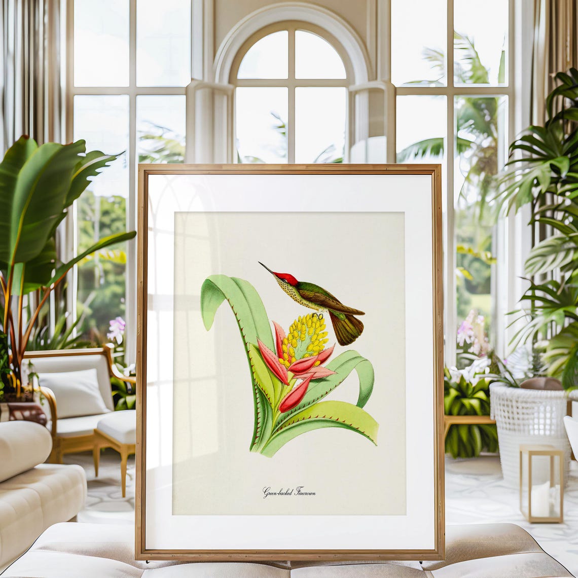 Green Backed Firecrown Hummingbird Print Bird Art Print Bird Art Bird Poster Flower Art Floral Garden Hummingbird Art Green Red Yellow - Image 3