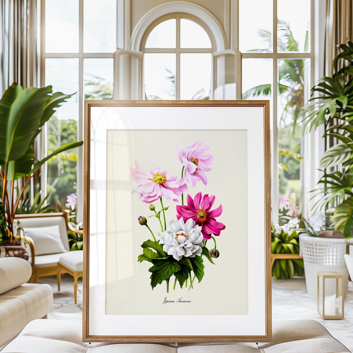 Japanese Anemones Botanical Art Print, Floral Decor - Image 3