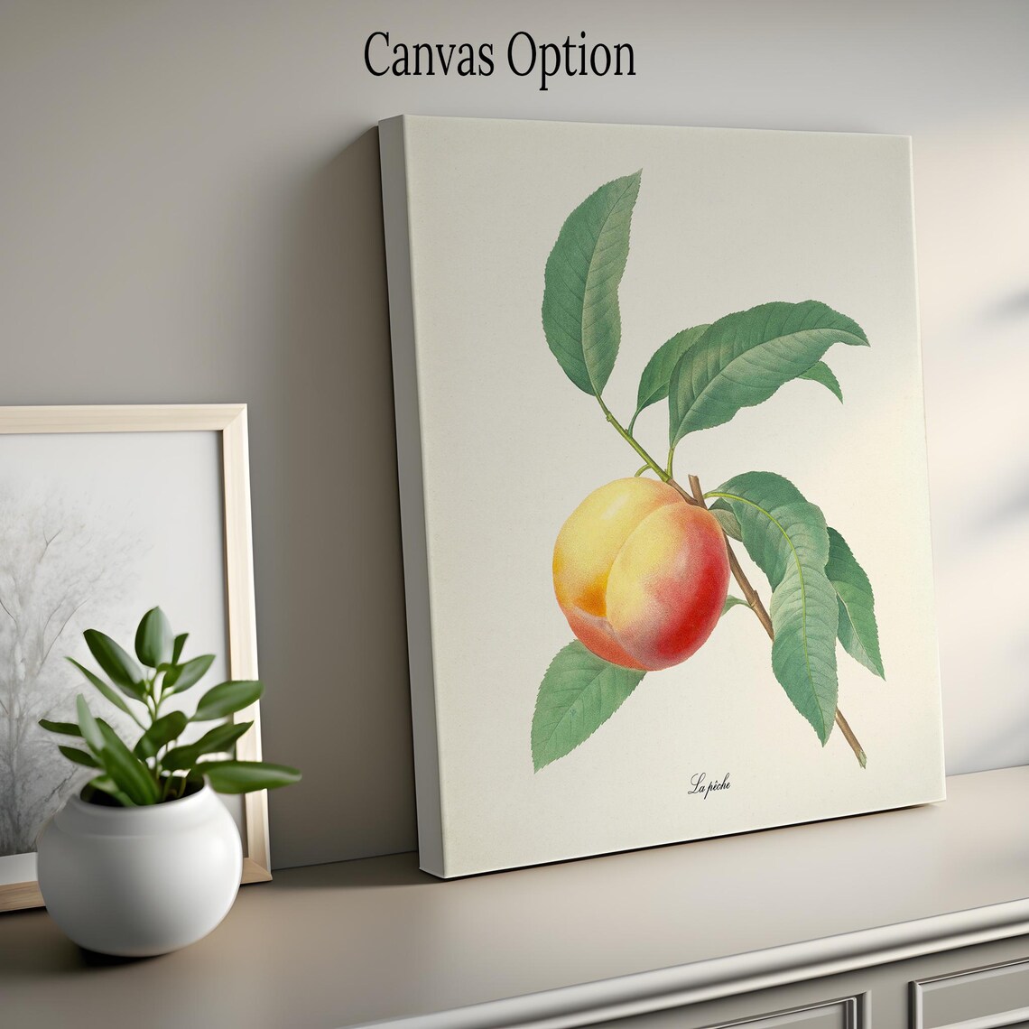 Peach Botanical Art Print, Redoute-Inspired La Peche - Image 2