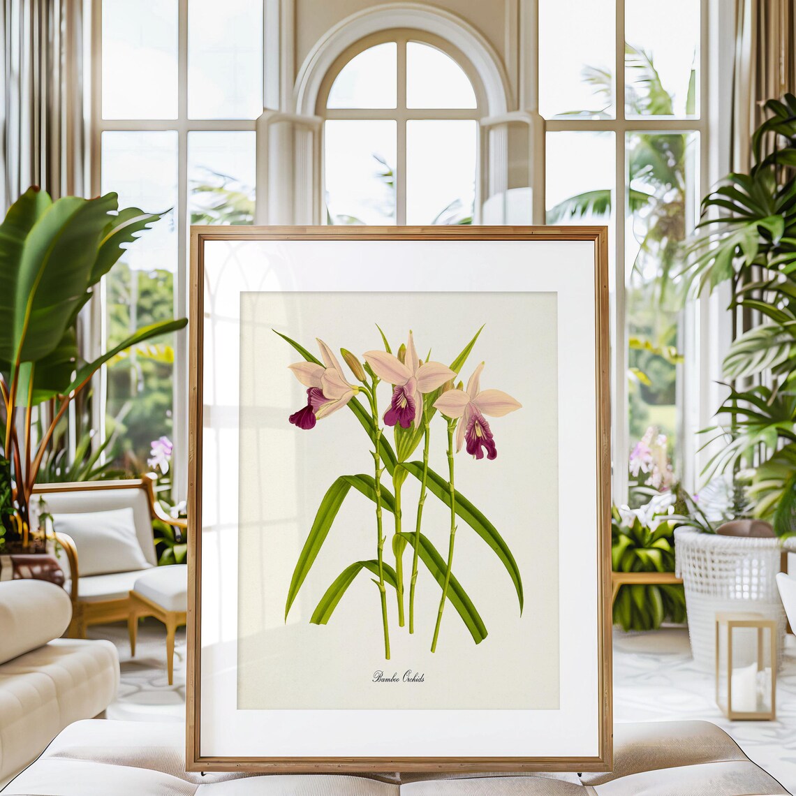 Bamboo Orchids Botanical Wall Art Print, Floral Decor - Image 3