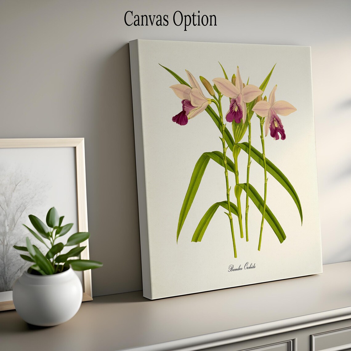 Bamboo Orchids Botanical Wall Art Print, Floral Decor - Image 2
