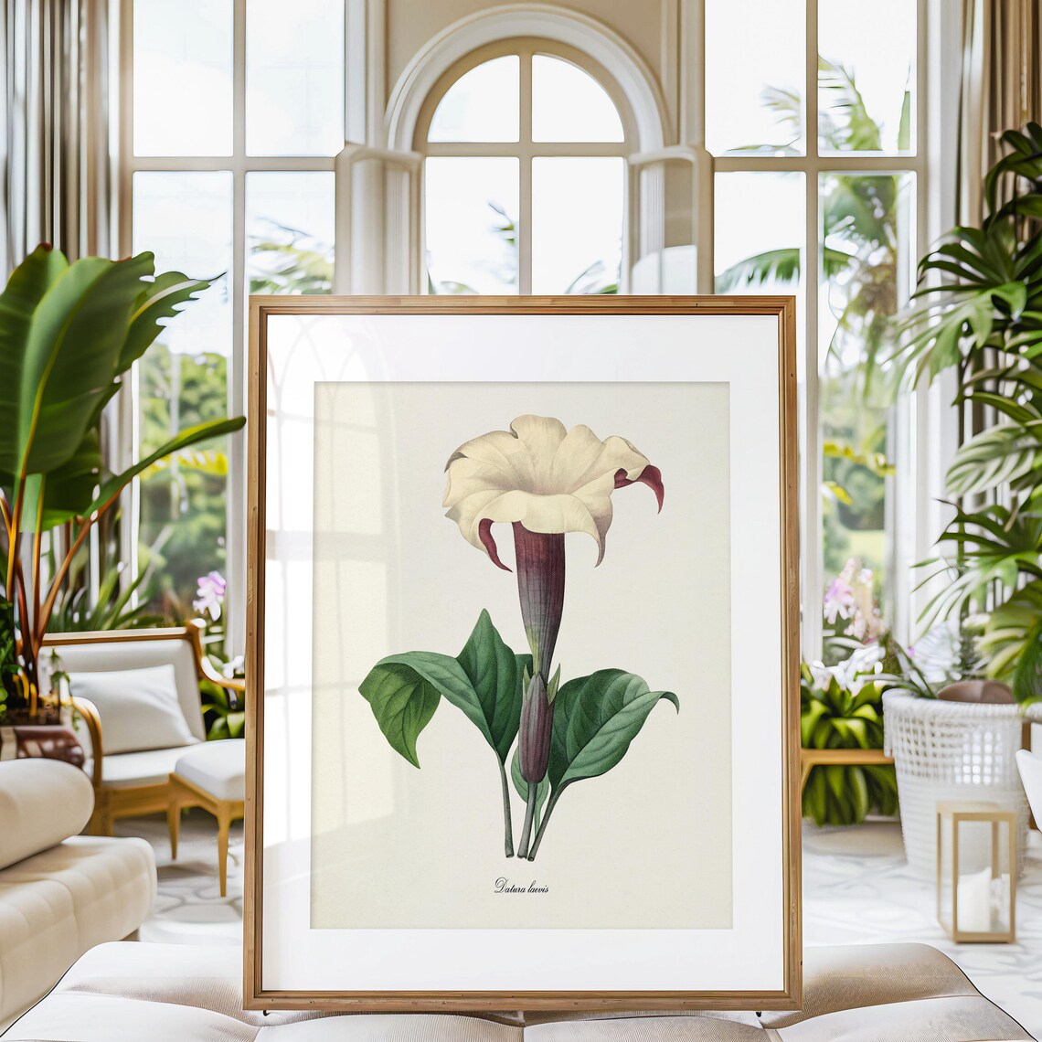 Jimsonweed Flower Botanical Art Print, Devils Snare - Image 3