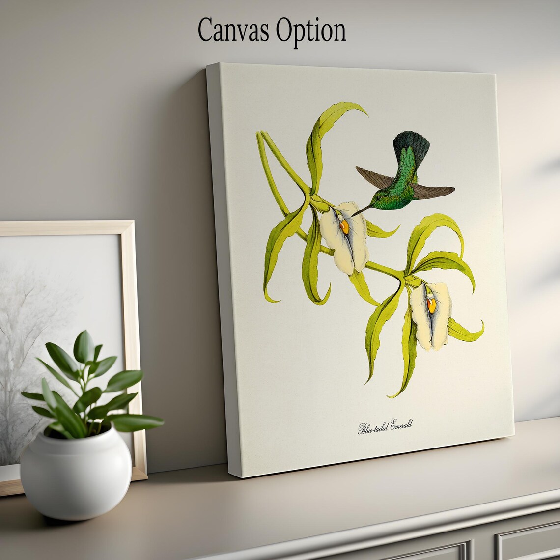Blue Tailed Emerald Hummingbird Art Print, Green Bird - Image 2