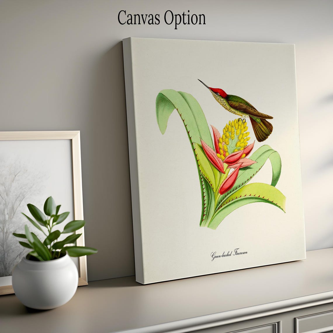 Green Backed Firecrown Hummingbird Print Bird Art Print Bird Art Bird Poster Flower Art Floral Garden Hummingbird Art Green Red Yellow - Image 2