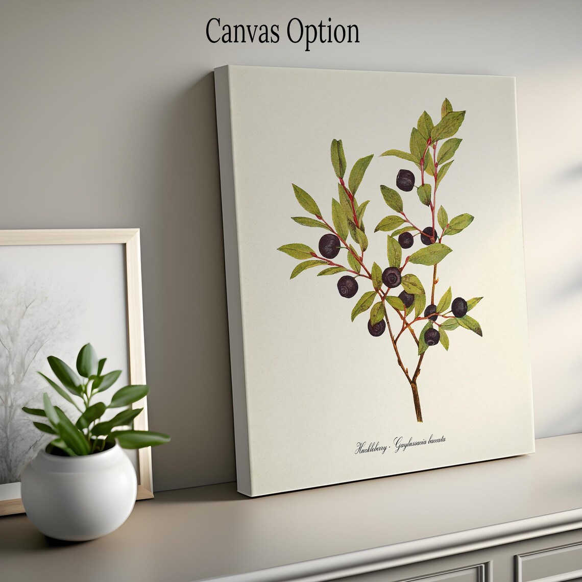 Huckleberry Botanical Print, Idaho State Fruit Art - Image 2