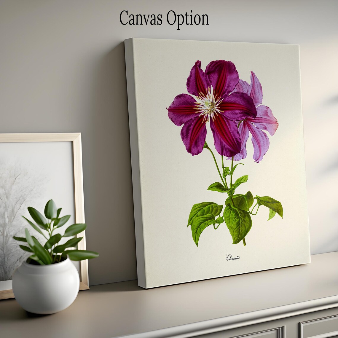 Clematis Flower Botanical Art Print, Purple Magenta - Image 2