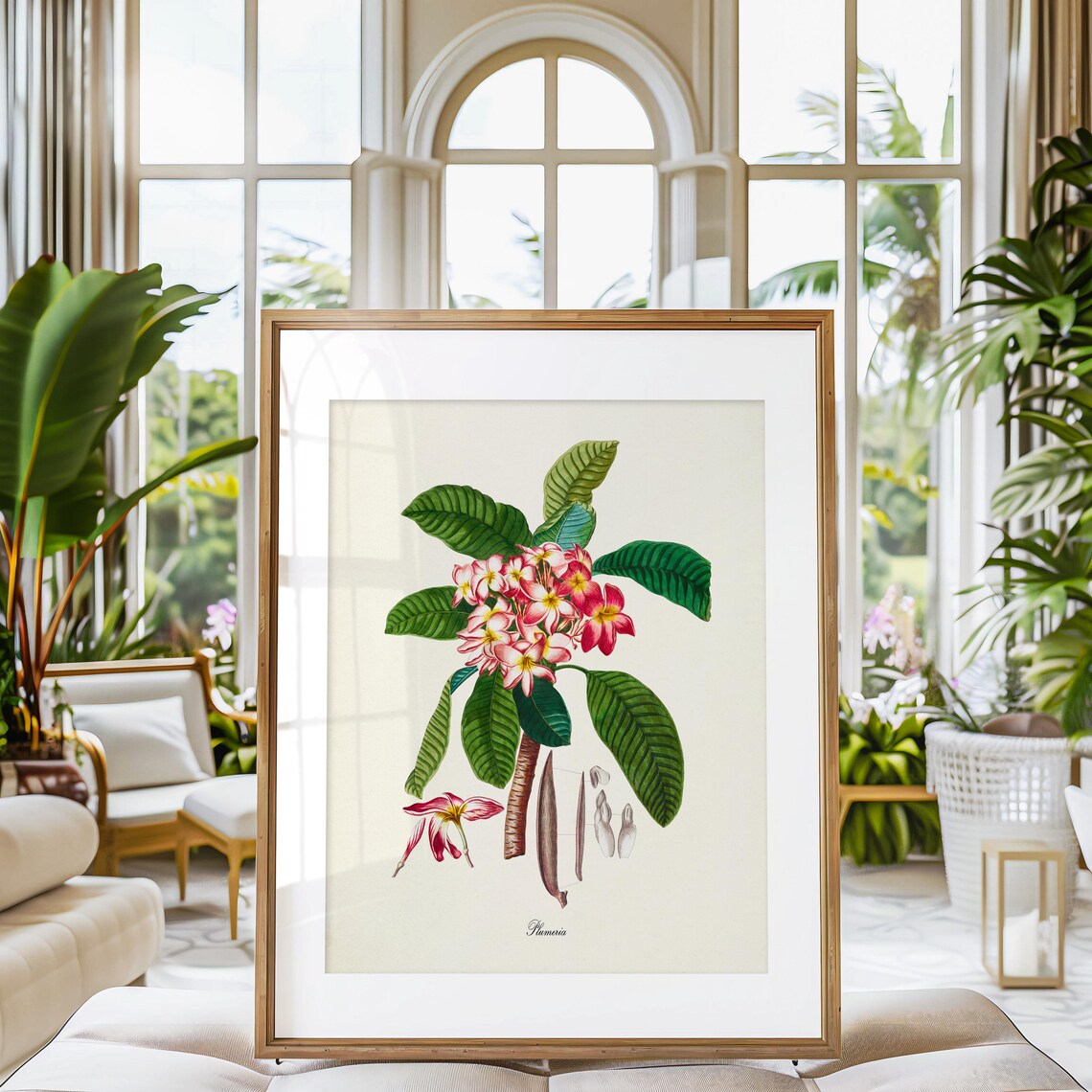 Plumeria Flower Botanical Art Print for Home Decor - Image 3