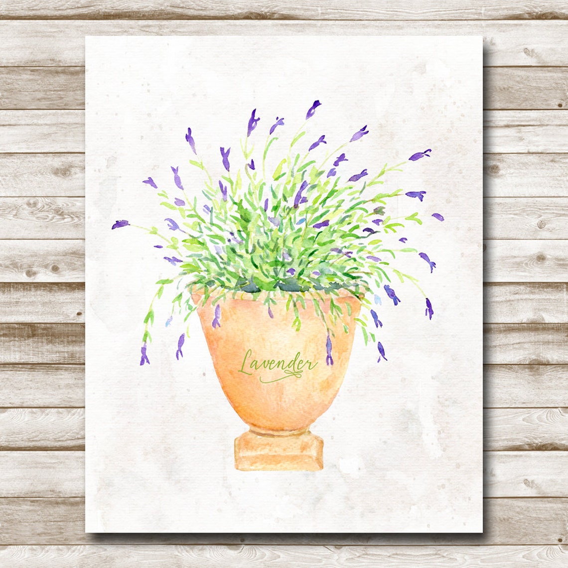 Lavender Watercolor Herb in Classic Urn Botanical Wall Poster - Image 4