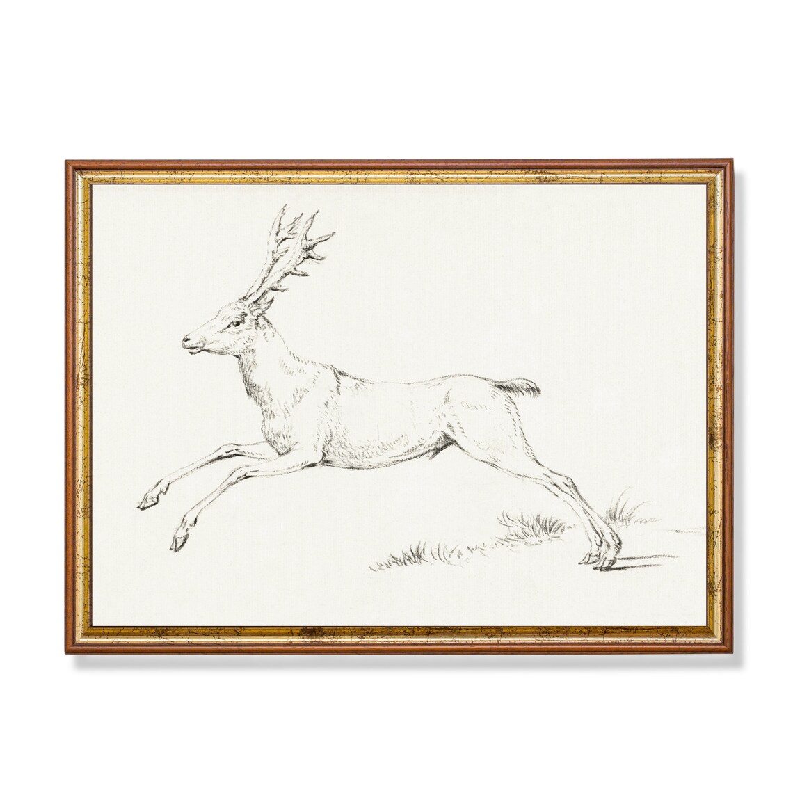 Leaping Stag with Grand Antlers Vintage Ink Sketch Wildlife Drawing Print