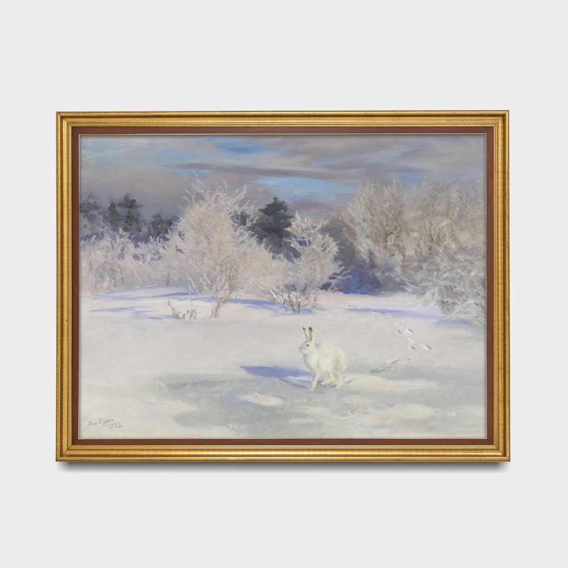 White Hare Standing in a Snowy Landscape With Frosted Bushes Poster - Image 5