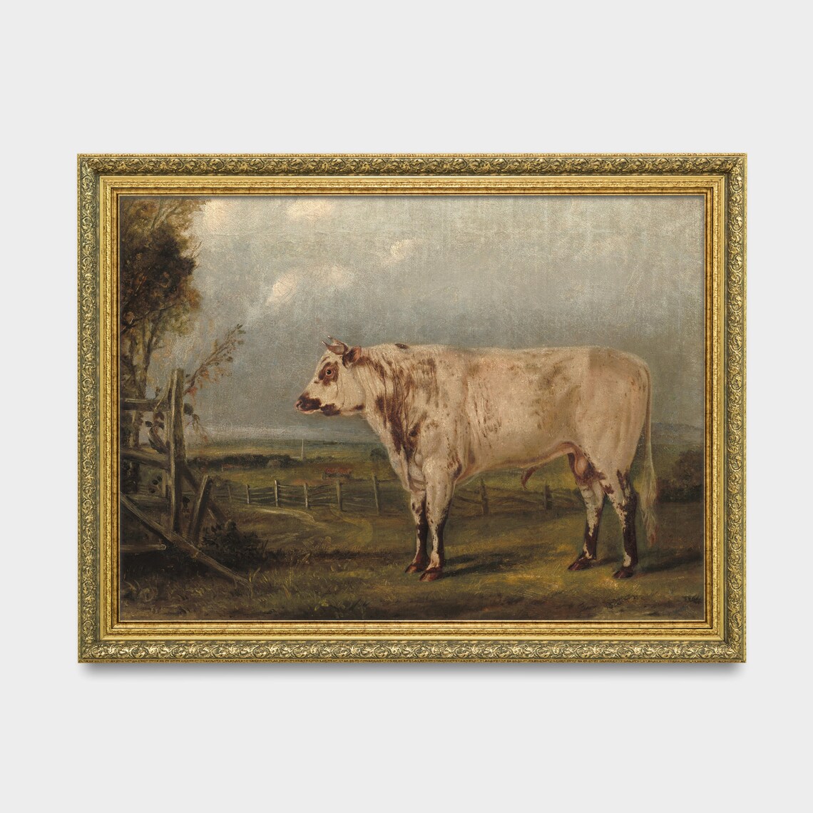 Vintage White Cow in Pasture by Wooden Fence Farm Art Poster - Image 3