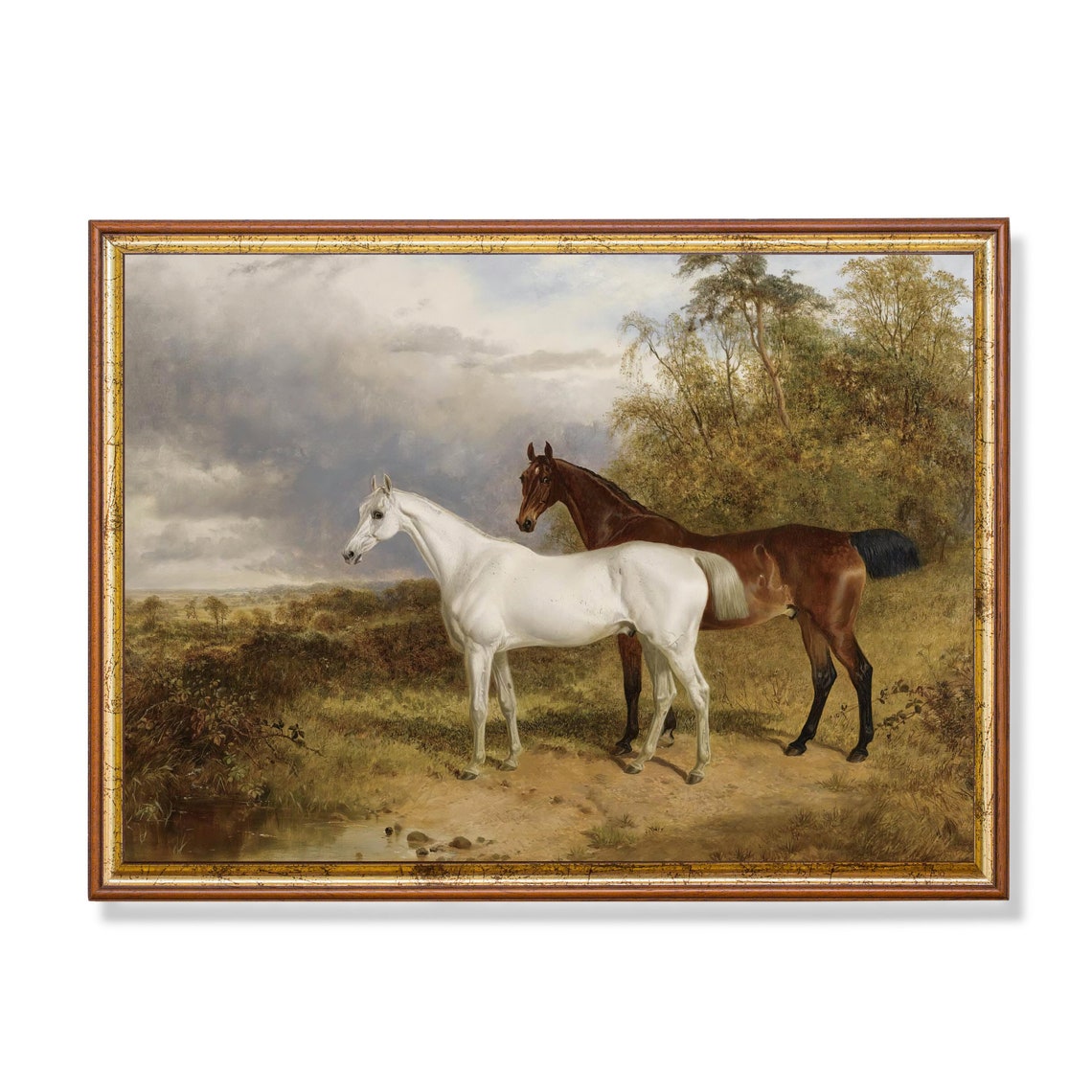 White and Bay Horses Standing Together in a Sunny Field Oil Poster