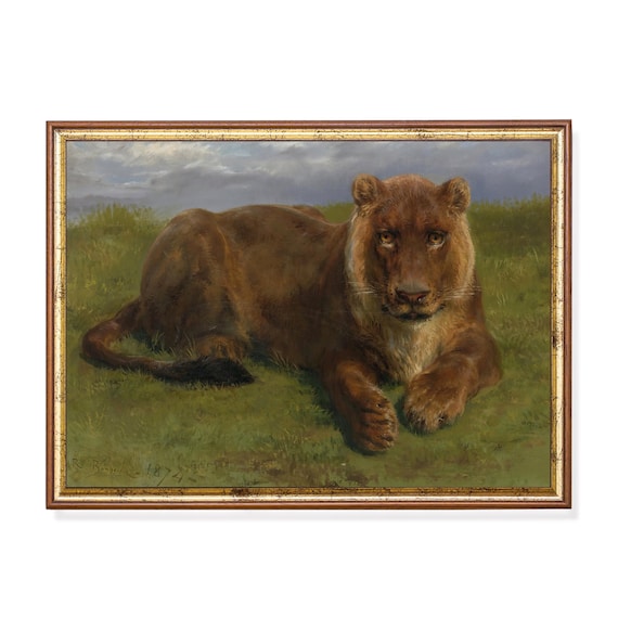 Lioness at Rest in Tall Grass Signed Rosa Bonheur Wildlife Poster