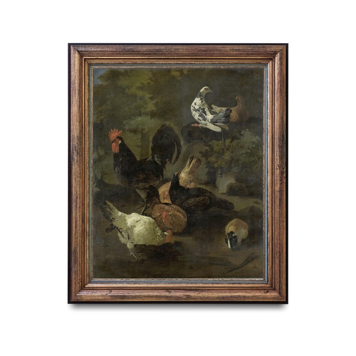 Black Rooster Hens Doves and a Guinea Pig in a Farmyard Poster - Image 2