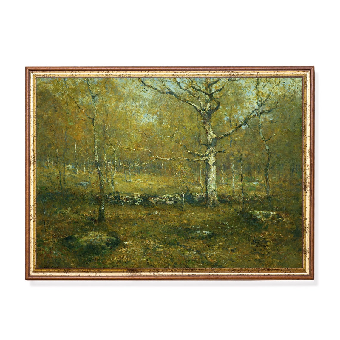 Spring Birch Woods With a Stone Wall Vintage Landscape Poster