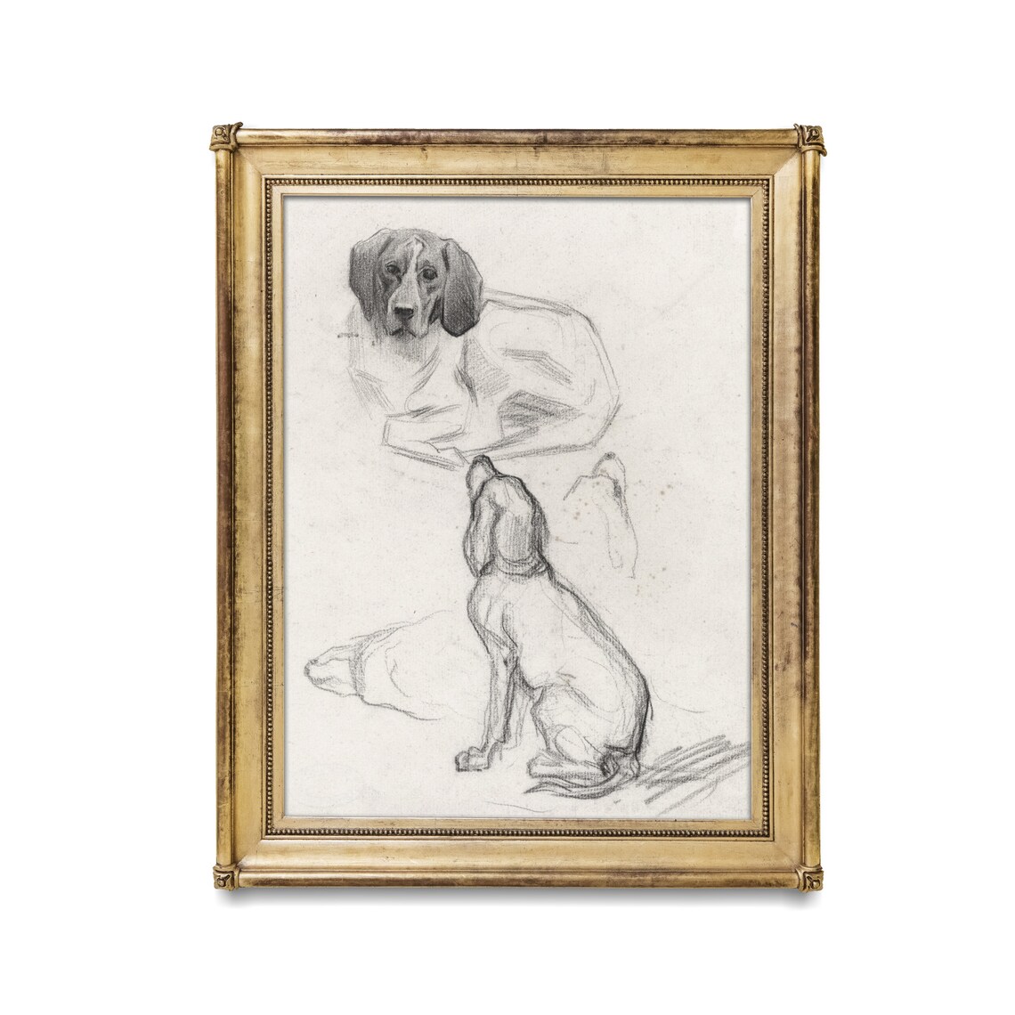 Hound Dog Study Pencil Sketches Antique Animal Drawing Wall Art - Image 4