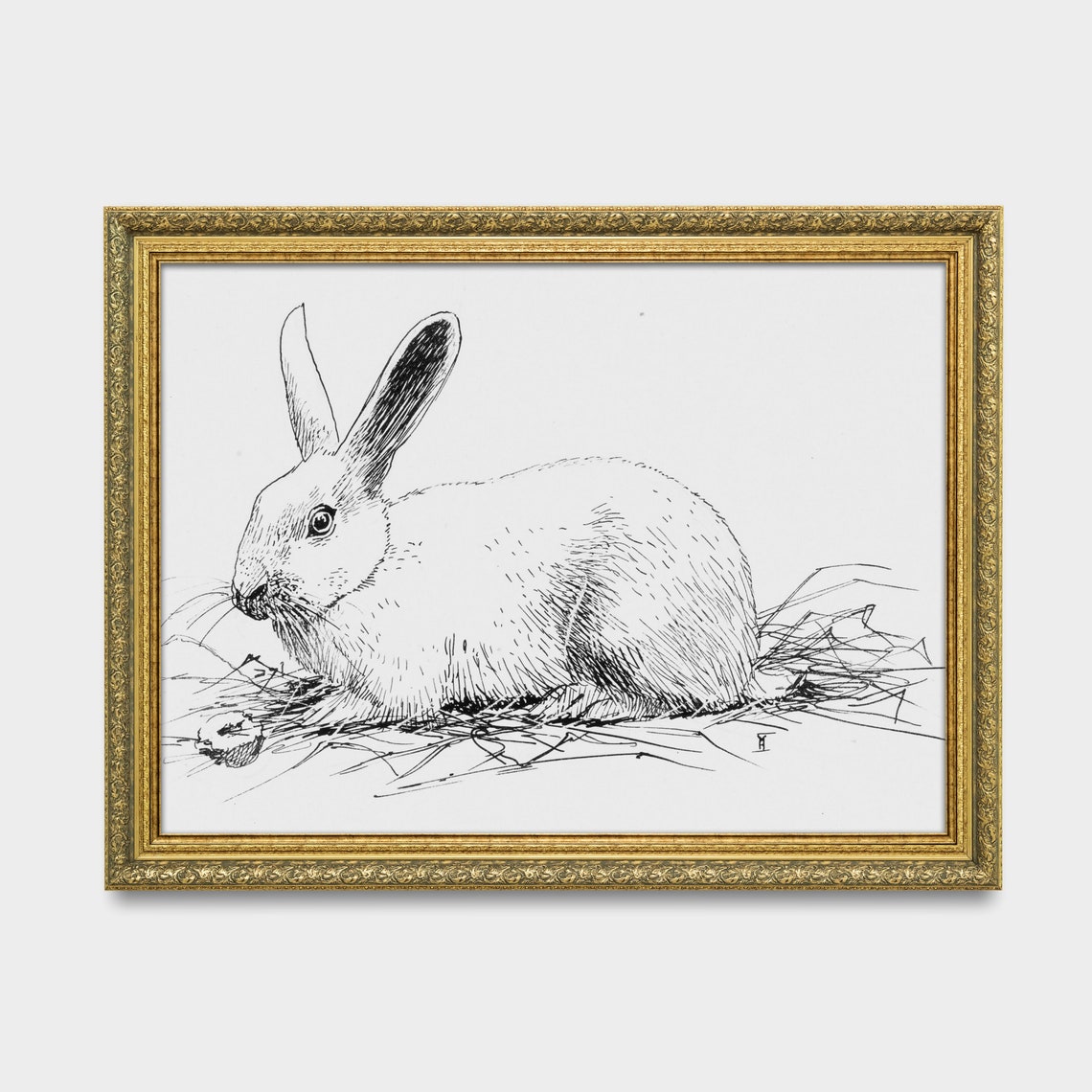 Resting Rabbit in Hay Black and White Pen and Ink Sketch Poster - Image 3