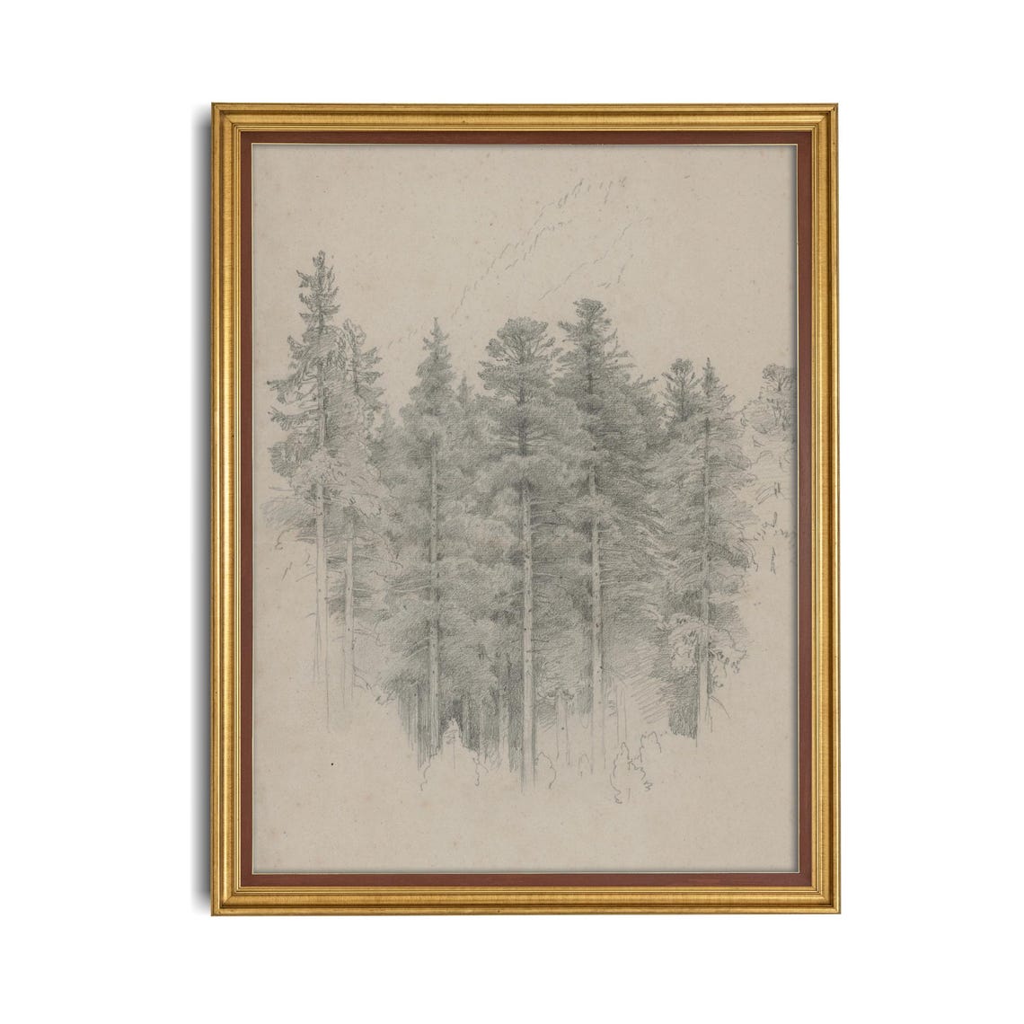 Antique Pencil Sketch Of Tall Pines Forest Drawing Art Poster - Image 3
