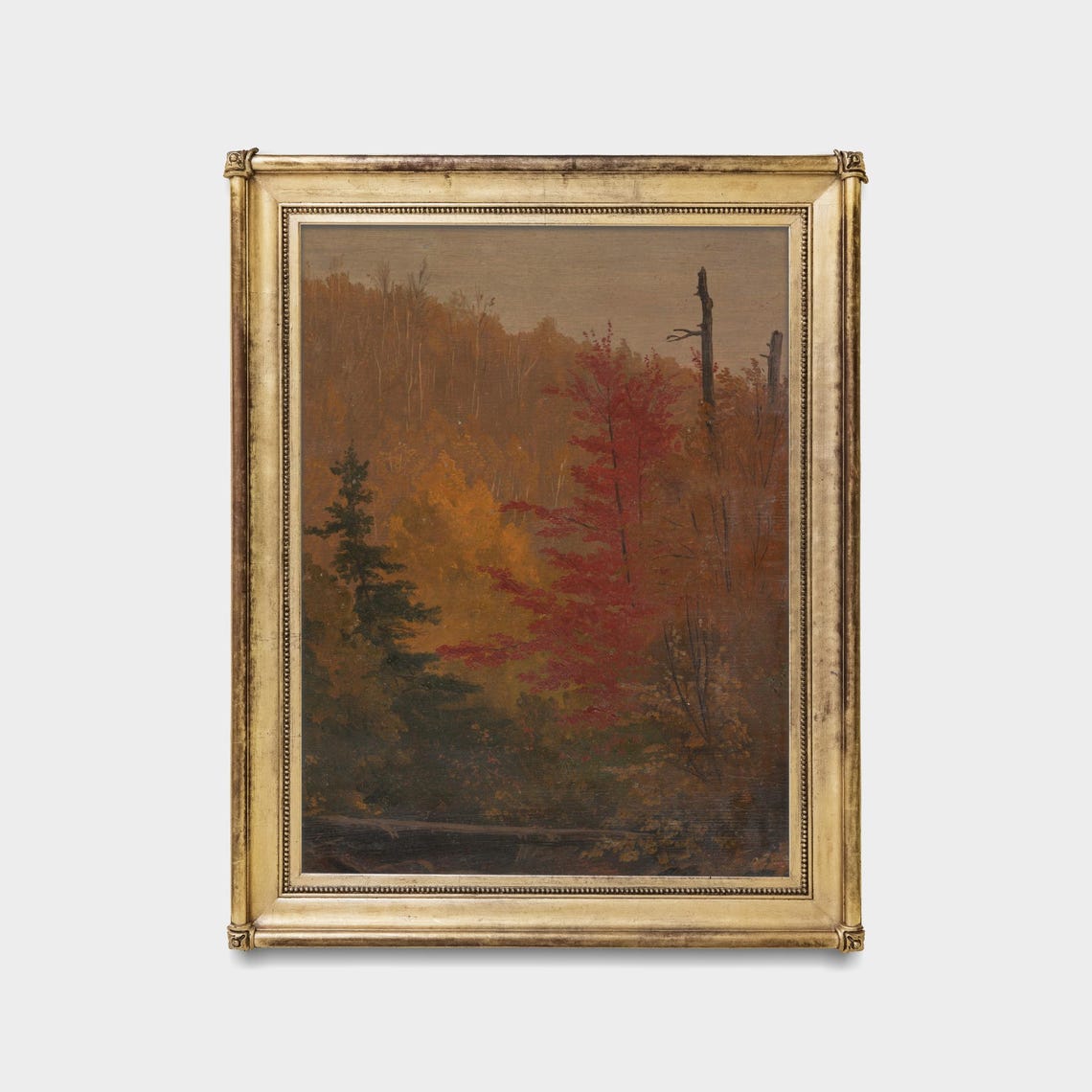 Blazing Red Maple Tree in Golden Autumn Woods Vintage Forest Poster - Image 5