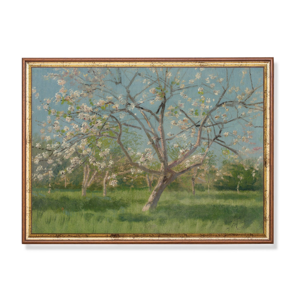 Blossoming Orchard Tree in Spring Meadow Vintage Landscape Poster